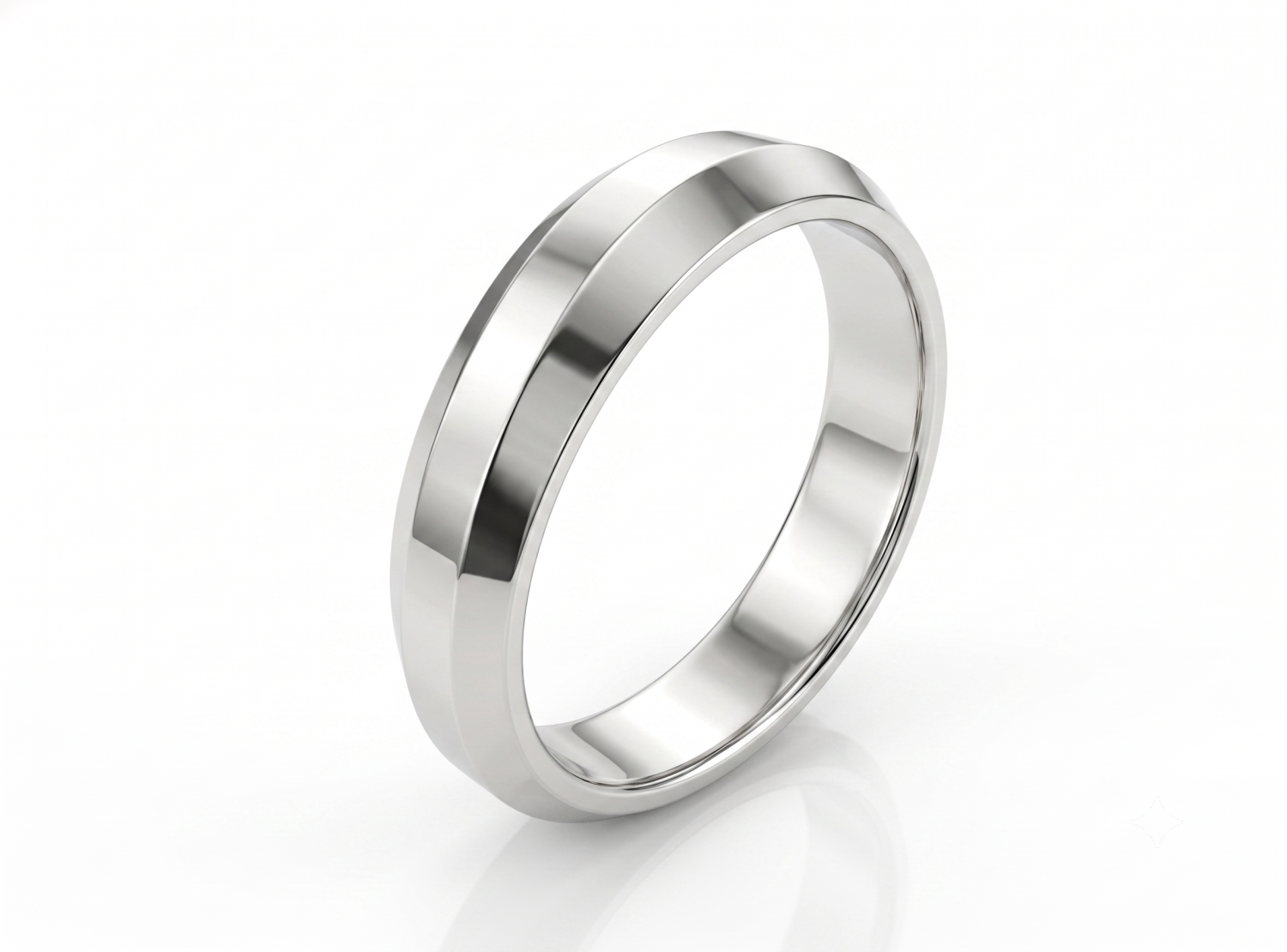 Platinum Ring / HK260102-R
