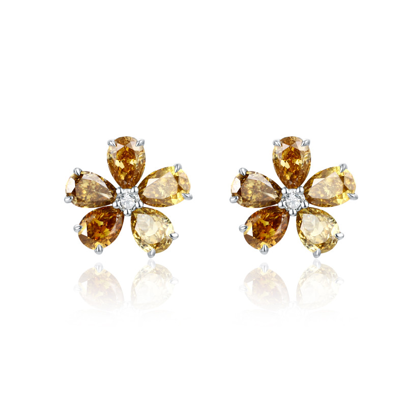 Natural Colour Diamond and White Diamond Earrings / PK-71SE/TSR